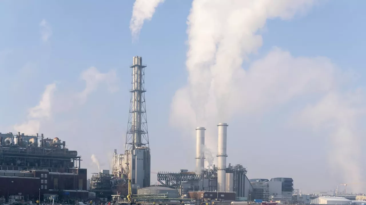 BASF-Aktie stürzt nach verfehlter Ergebnisprognose