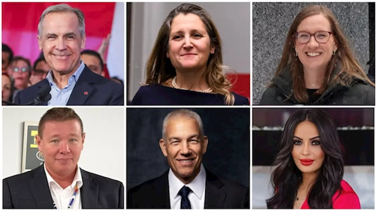 Six Liberal Leadership Candidates Approved, Arya Excluded