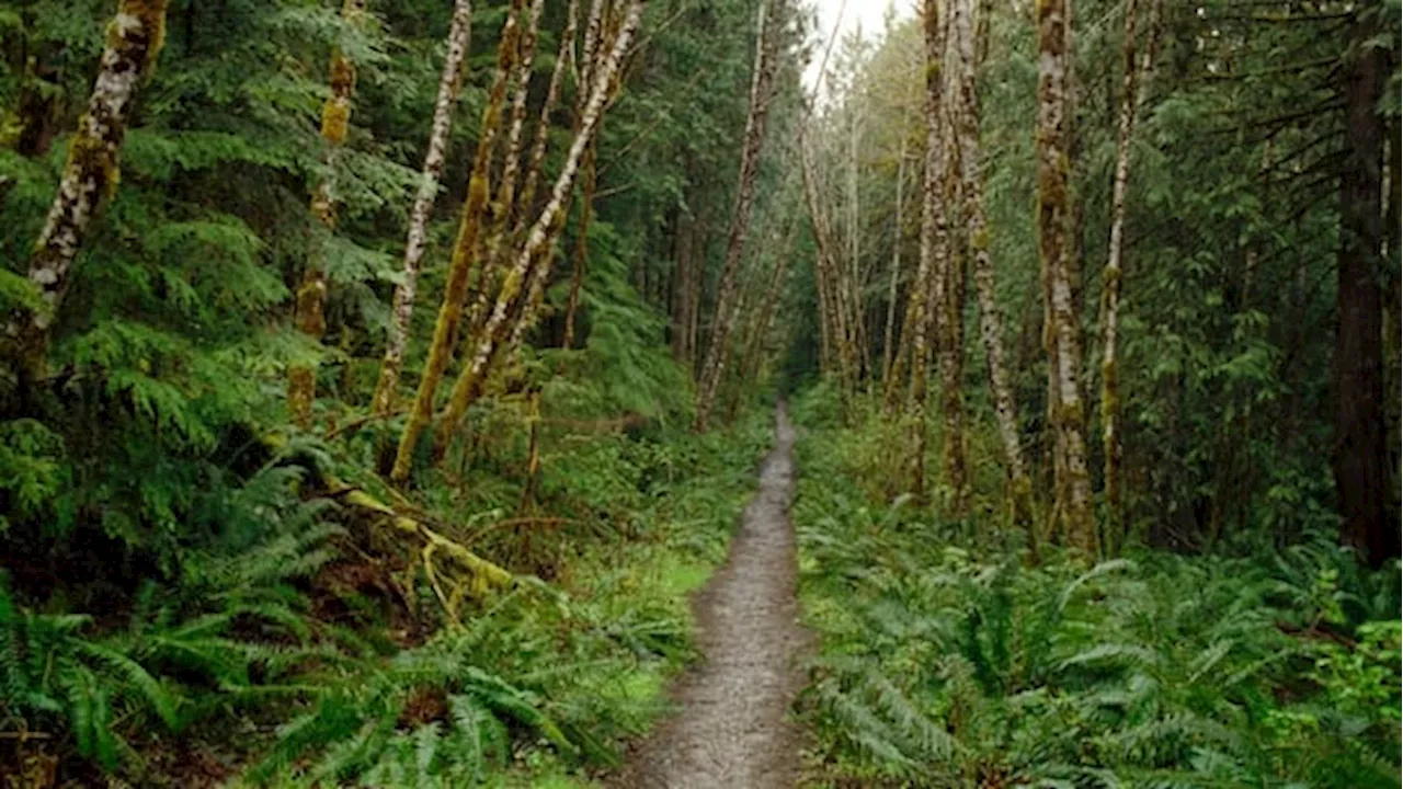 Canada Closes Pacific Crest Trail Border Crossing