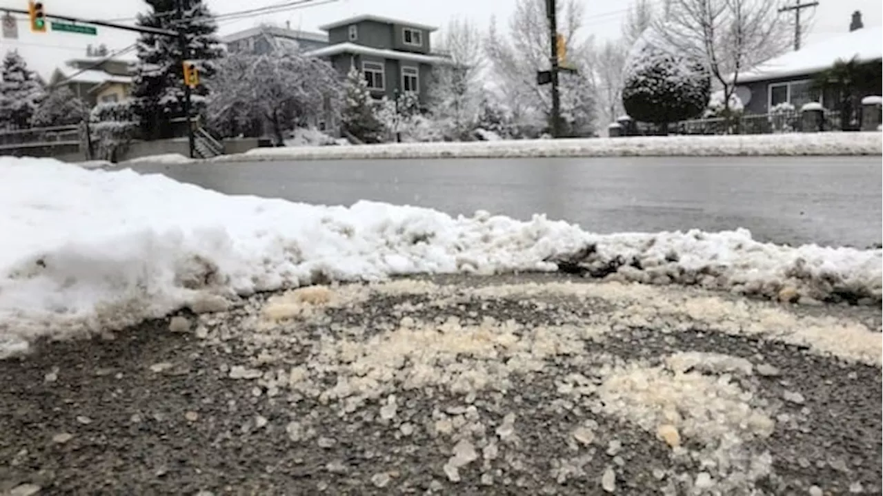 Road Salt Levels Found Toxic to Wildlife in Ottawa Waters