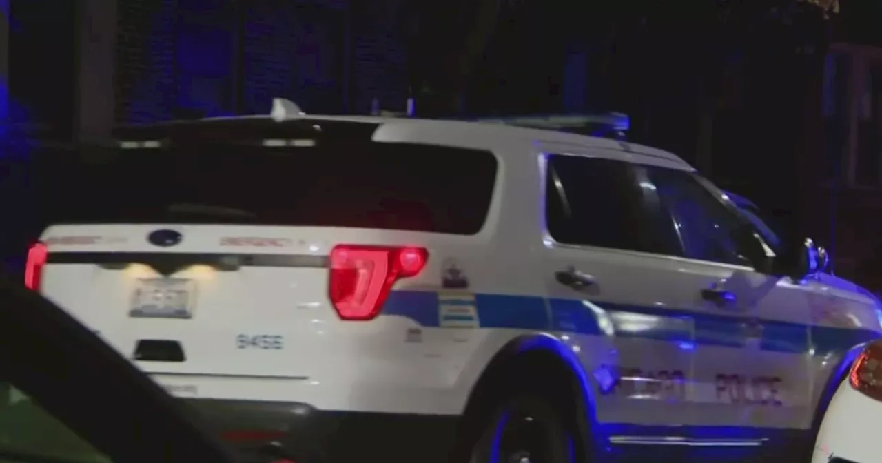 12-Year-Old Girl Fatally Shoots Herself in Chicago Apartment