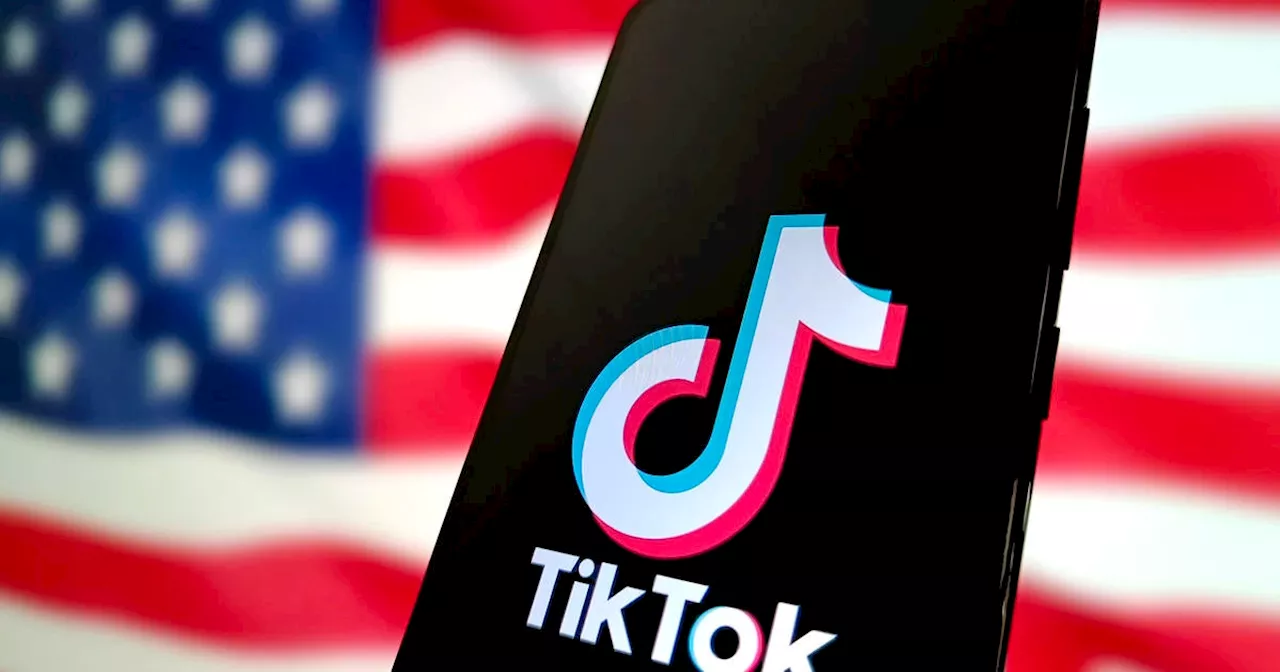 Perplexity AI Proposes Government Stake in TikTok US Merger