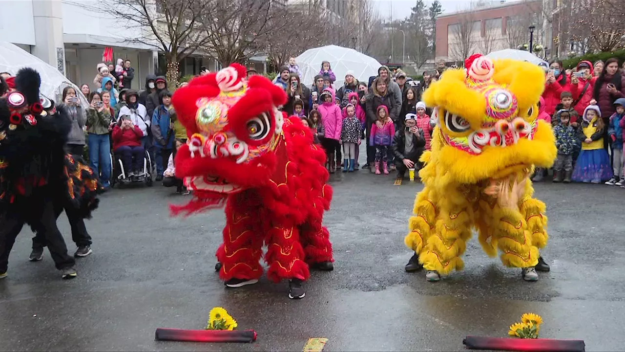 Victoria's Chinatown Celebrates Lunar New Year with Parade and Performances