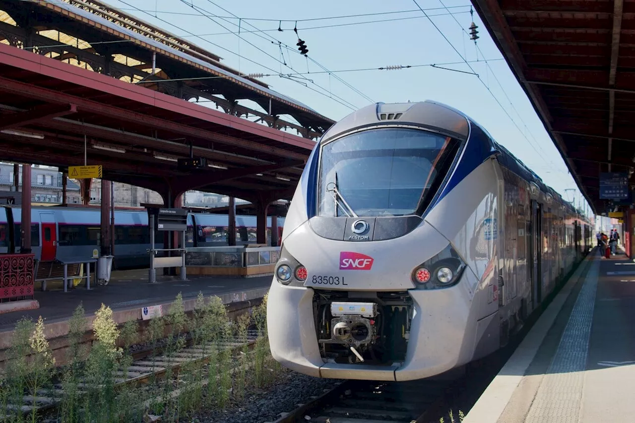 Petite fille amputée après un accident en gare de Saint-Hilaire-du-Rosier