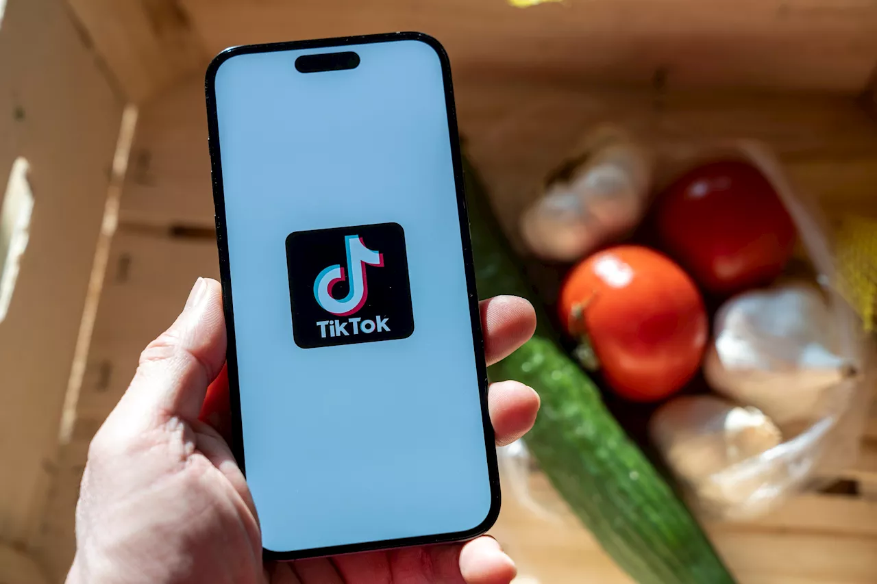 Trump promet une décision sur TikTok d'ici 30 jours : ByteDance conserverait une part minoritaire