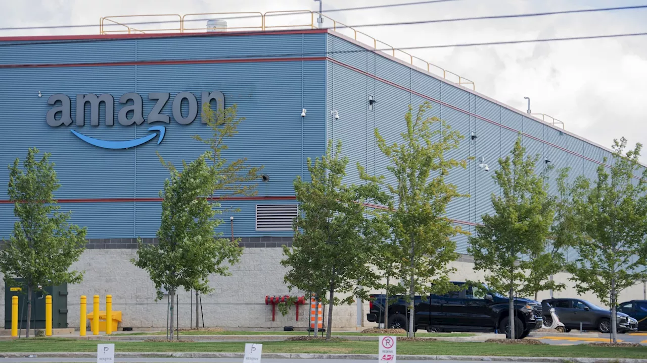 DeepSeek Sell-Off Presents Buying Opportunity in Amazon, Broadcom, Says Expert