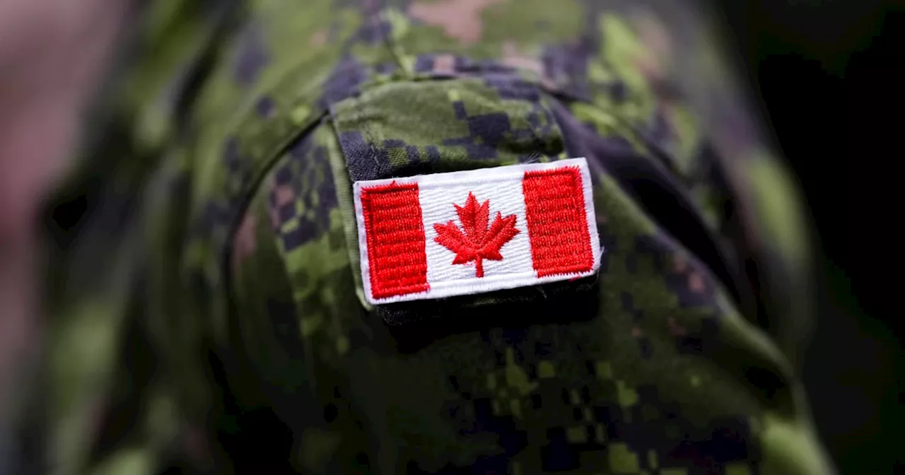 Canadian veteran known as ‘Canadian Dave’ released by Taliban months after arrest