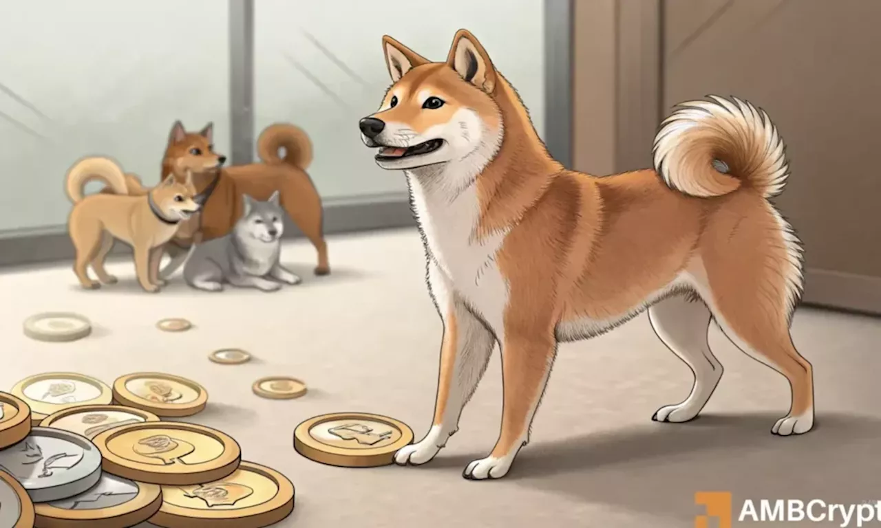 Shiba Inu Price Dips Amidst Memecoin Market Sell-off