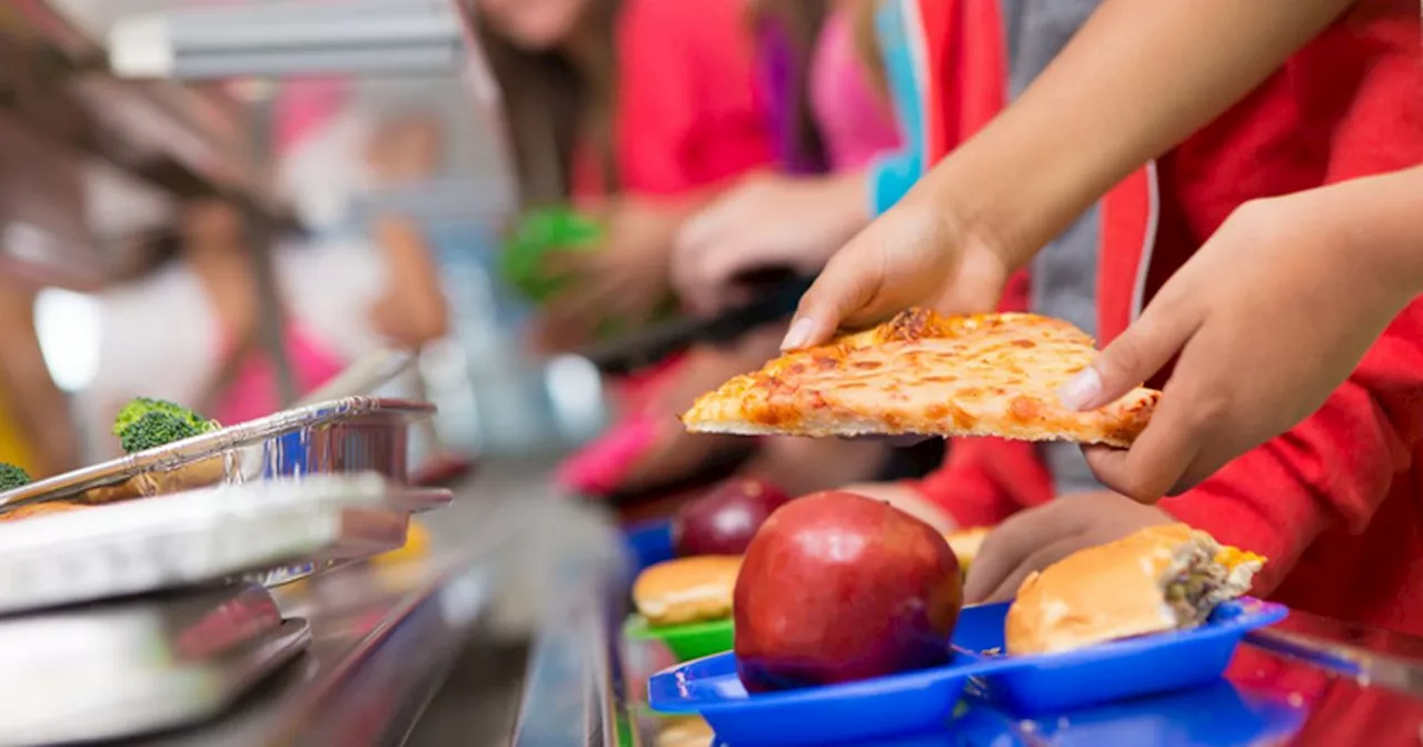 Alarming diet trends of Scottish children shared in 'extremely concerning' study