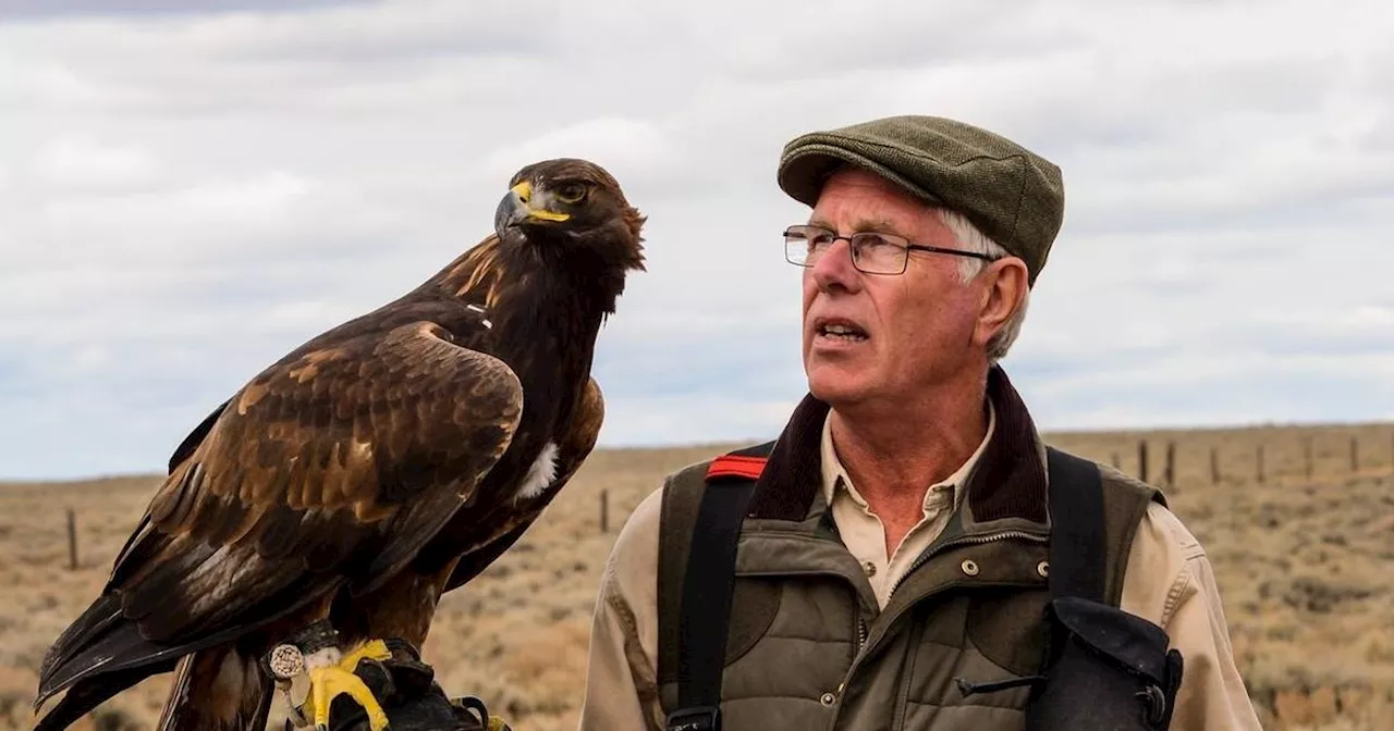 Eagle Expert Demands Lifetime Ban for Wildlife Centre Owner After Shocking Cruelty