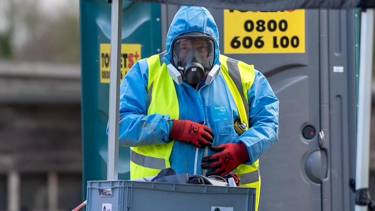 Bird flu strikes UK: First human case detected - amid growing concern the virus has mutated