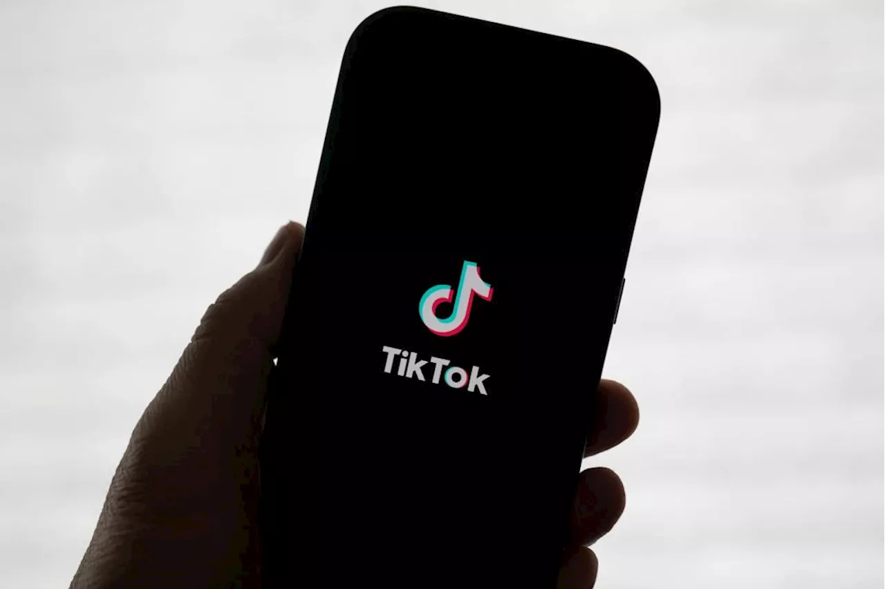 Perplexity AI Proposes US Government Stake in TikTok US Business