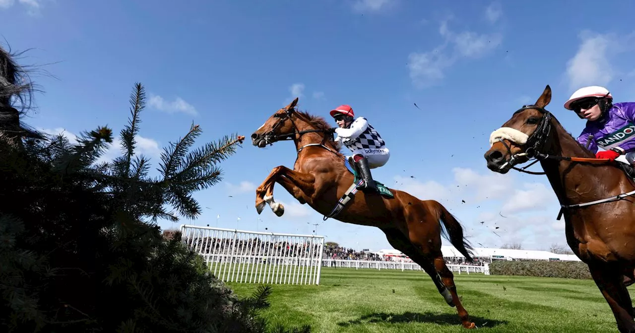 Enjoy Free Racing TV Access Until March 2025 - Watch the Cheltenham Festival Live!