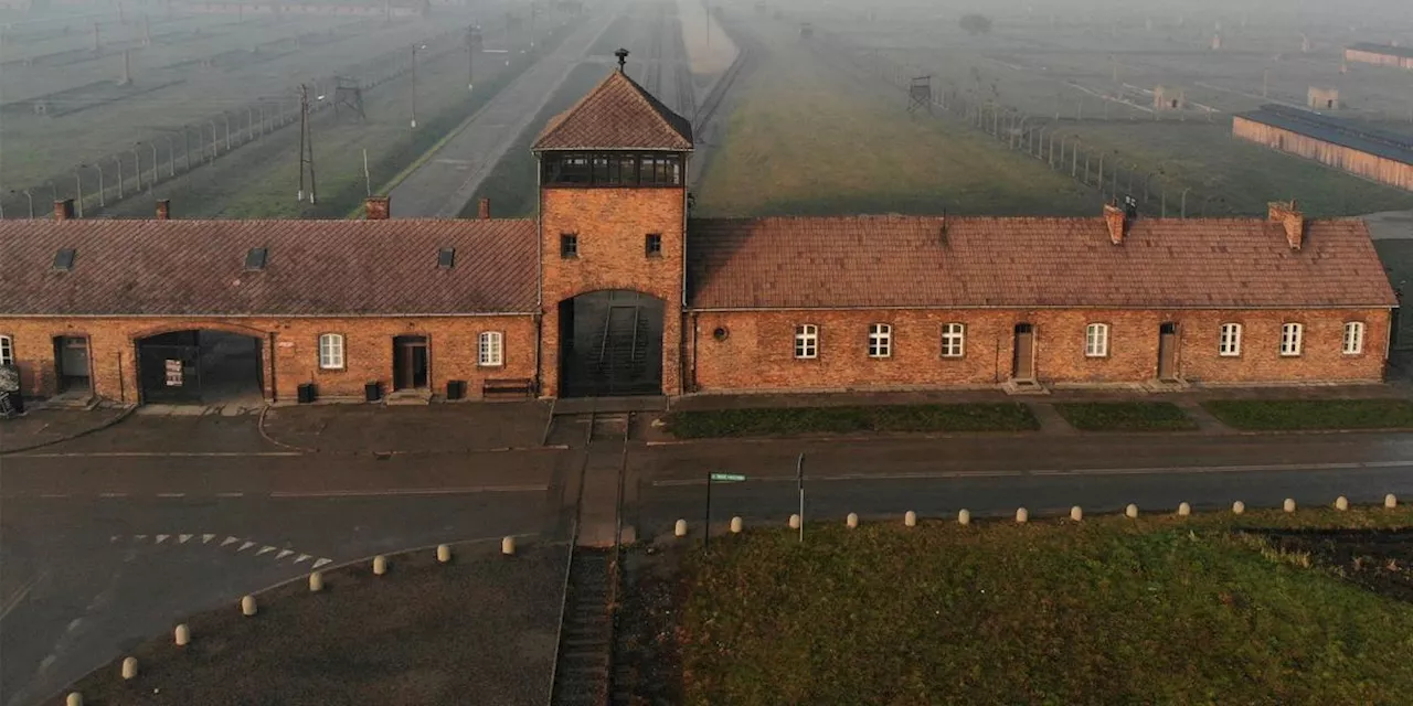 Supervivientes de Auschwitz Conmemora el 80º Aniversario de la Liberación