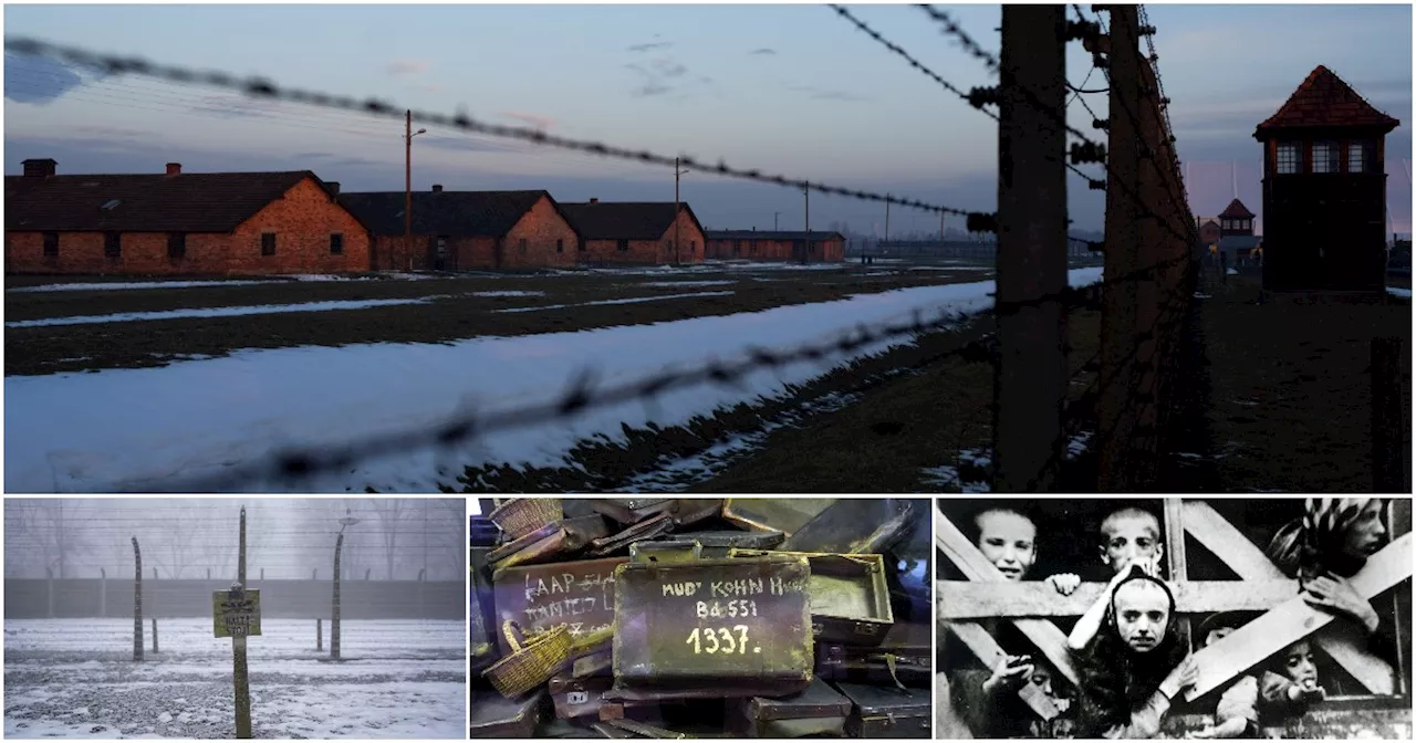 Giornata della Memoria, 80 anni dopo la liberazione di Auschwitz la minaccia è il negazionismo che…