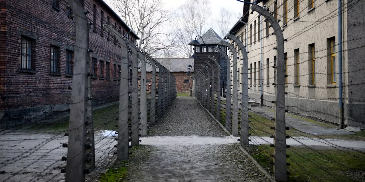 80 Jahre Auschwitz Befreiung: Überlebende mahnen zur Mahnung