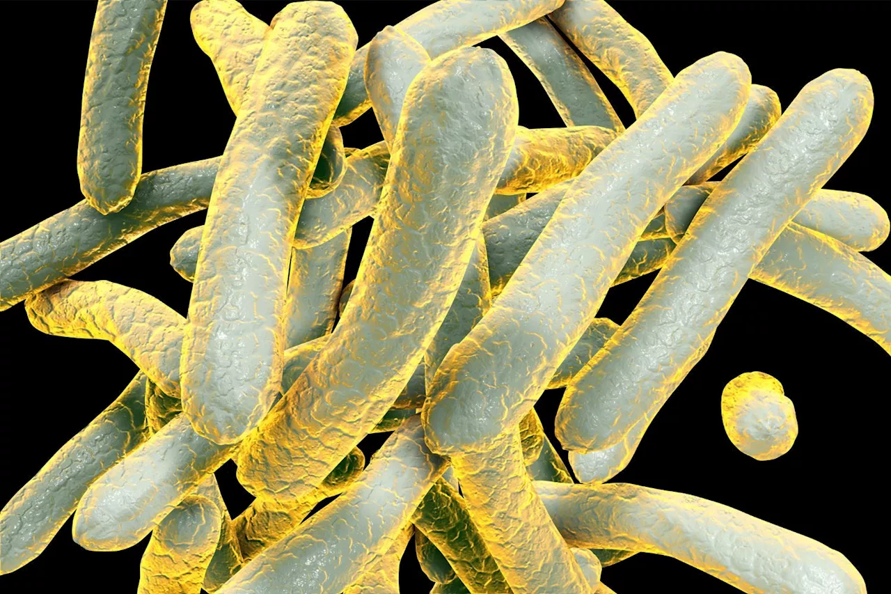 Kansas Is Battling the Largest Tuberculosis Outbreak Ever Recorded in the U.S.