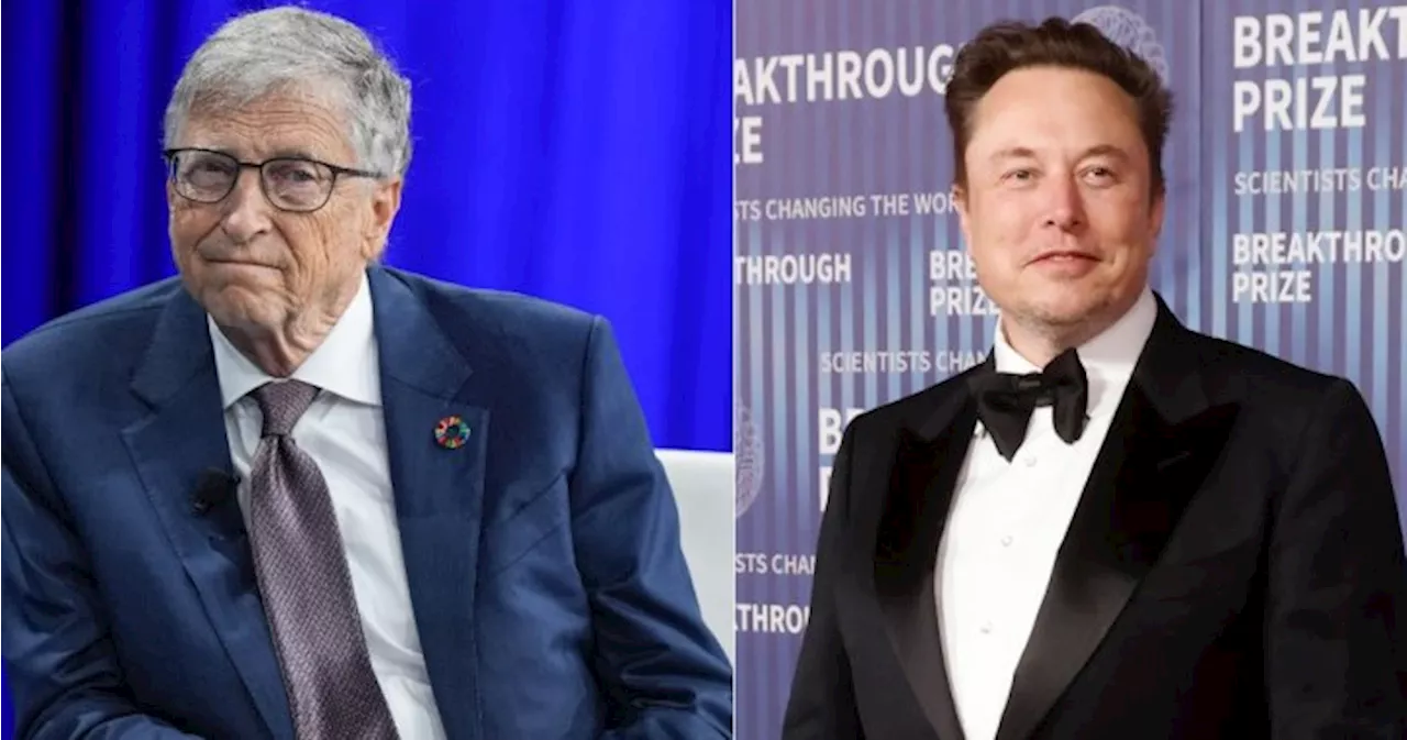 Bill Gates Criticizes Elon Musk's Support for German Far-Right Party