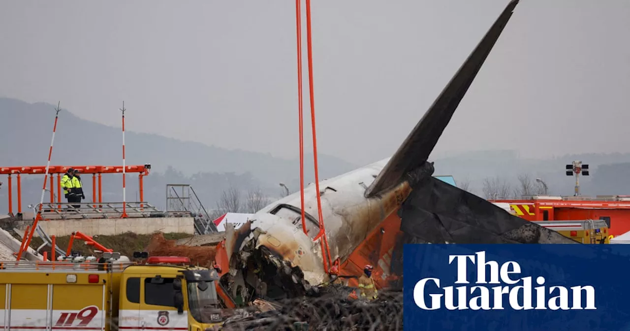 Duck Remains Found in Engines of Crashed Jeju Air Jet, Suggesting Bird Strike