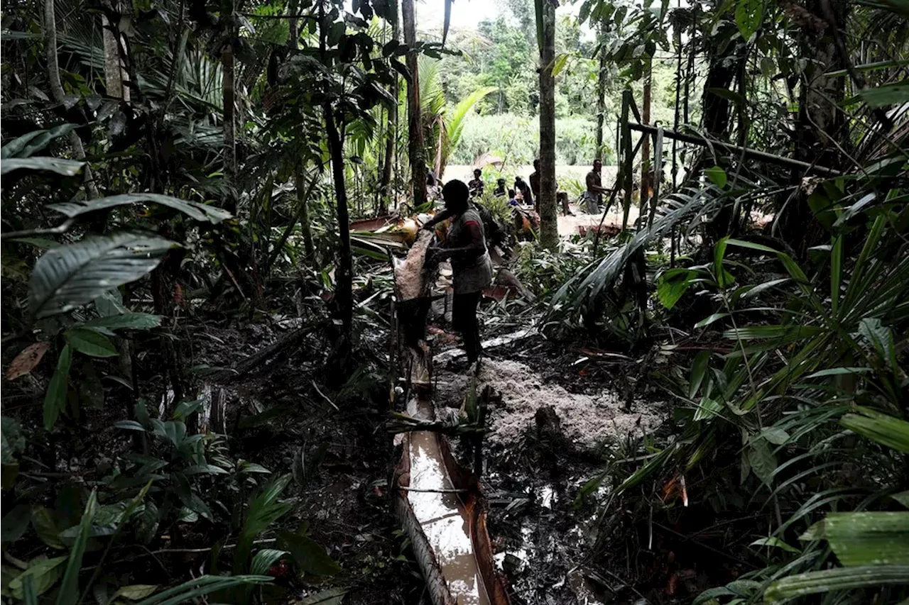 Satgas Penertiban Hutan Dikhawatirkan Ancam Masyarakat dan Adat