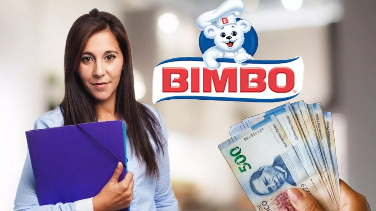 Bimbo Busca Especialista en Digitalización Fiscal en Ciudad de México