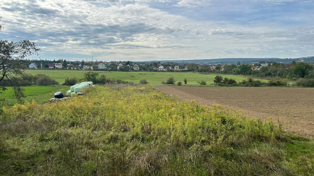  Nach KZ-Causa: Bürgermeister–Liste verliert 16 Prozent