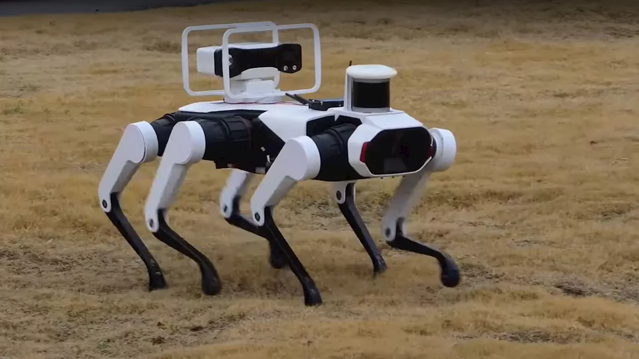 Chinese Robot Dog Conquers Antarctic Conditions