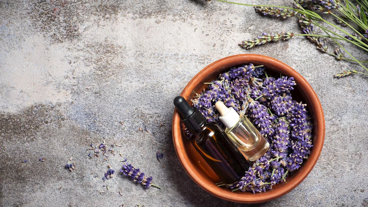 Lavender Oil Breakthrough Boosts Sodium-Sulfur Battery Performance