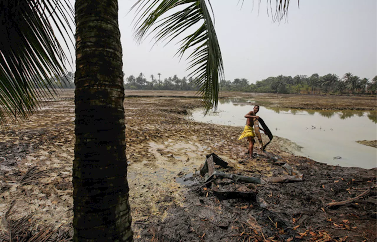 Chi paga per i danni della Shell in Nigeria?