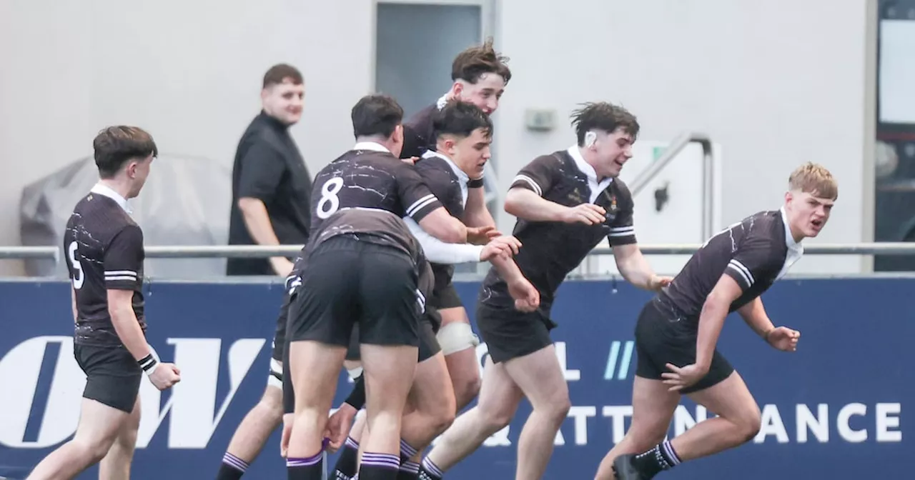 Clongowes Wood College Edges Out Terenure in Thrilling Leinster Schools Senior Cup Opener