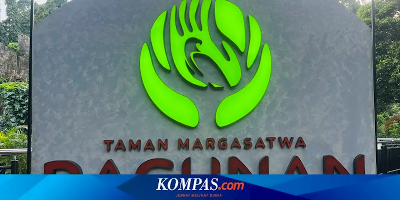 Ragunan Zoo Tetap Buka Selama Libur Isra Miraj dan Imlek 2025