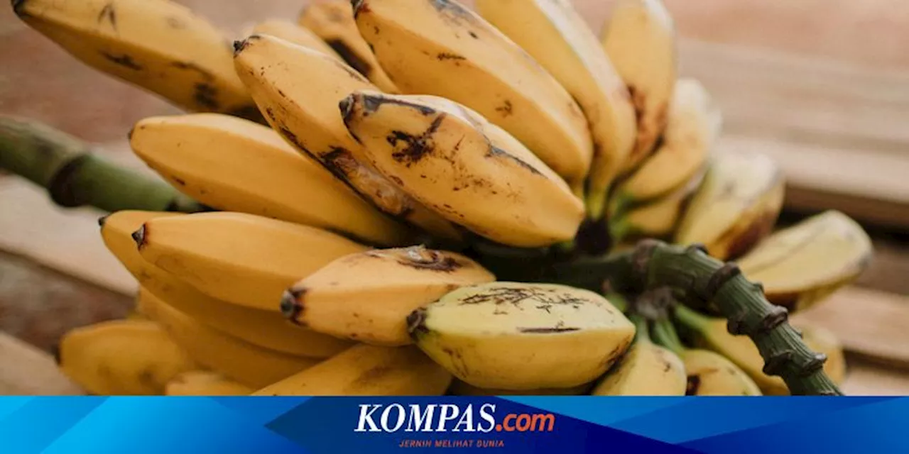 Siapa Saja Orang yang Tidak Dianjurkan Makan Pisang?