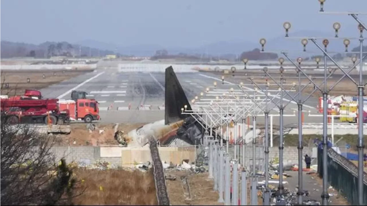 Laporan Awal Kecelakaan Jeju Air: Ditemukan DNA Bebek di Kedua Mesin Pesawat