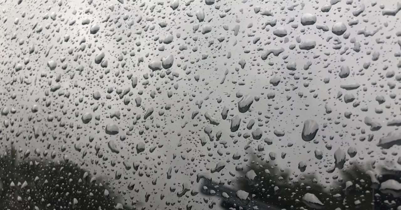 San Diego County Sees First Significant Rainfall of Season, Thunderstorms Possible