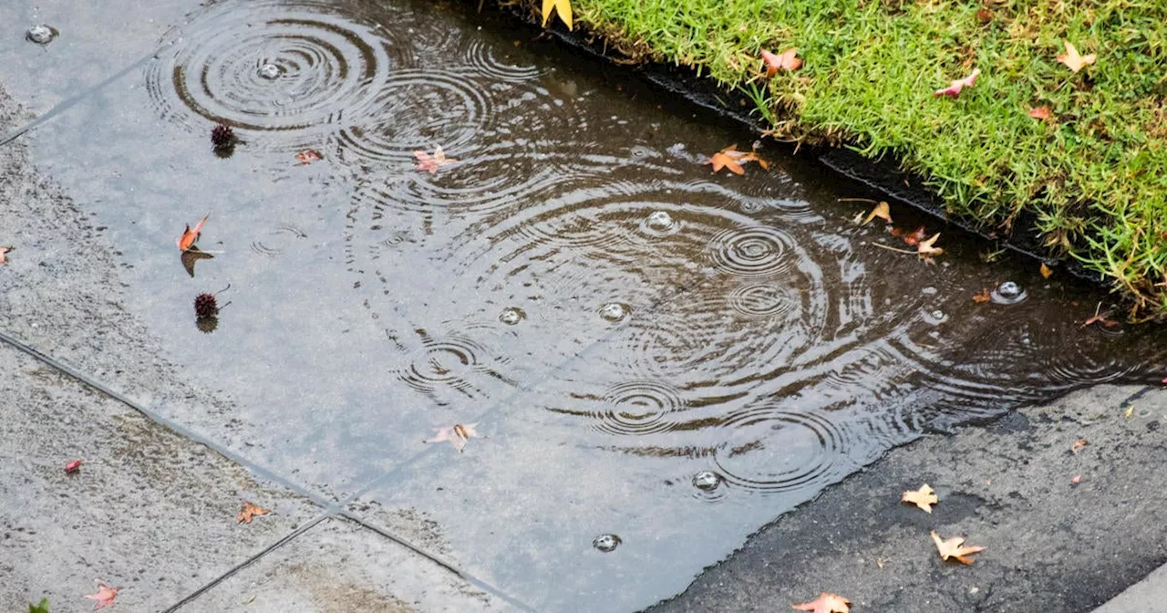 Bay Area to Experience Chilly Freeze Followed by Rain