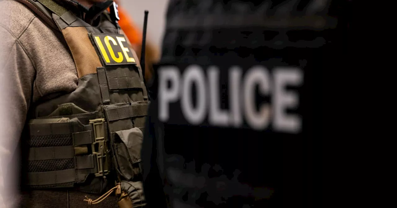 ICE Conducts Nationwide Operation Resulting in Hundreds of Arrests in San Jose and Chicago