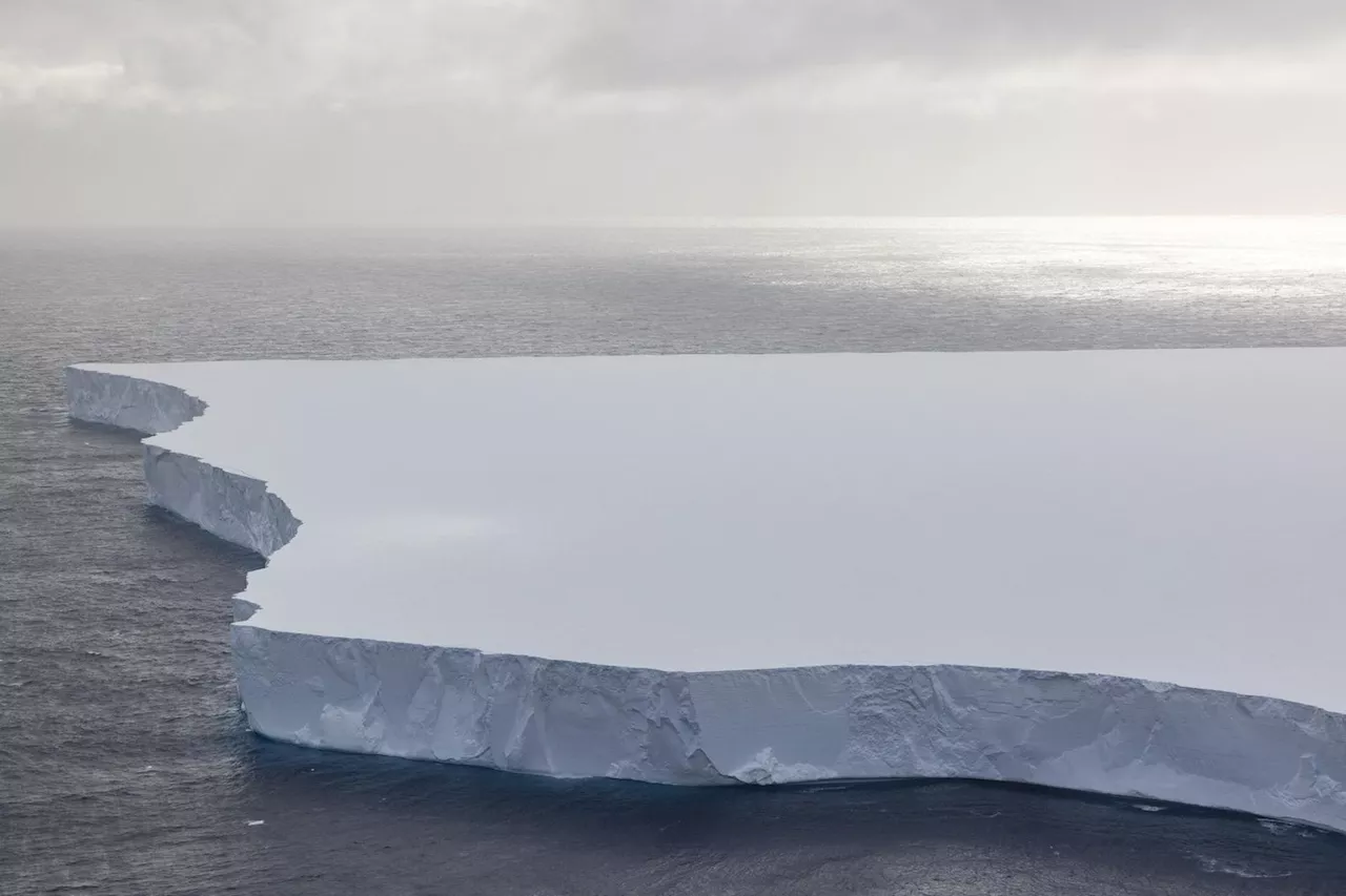 Antarctique : la course folle de A23a, le plus grand iceberg du monde