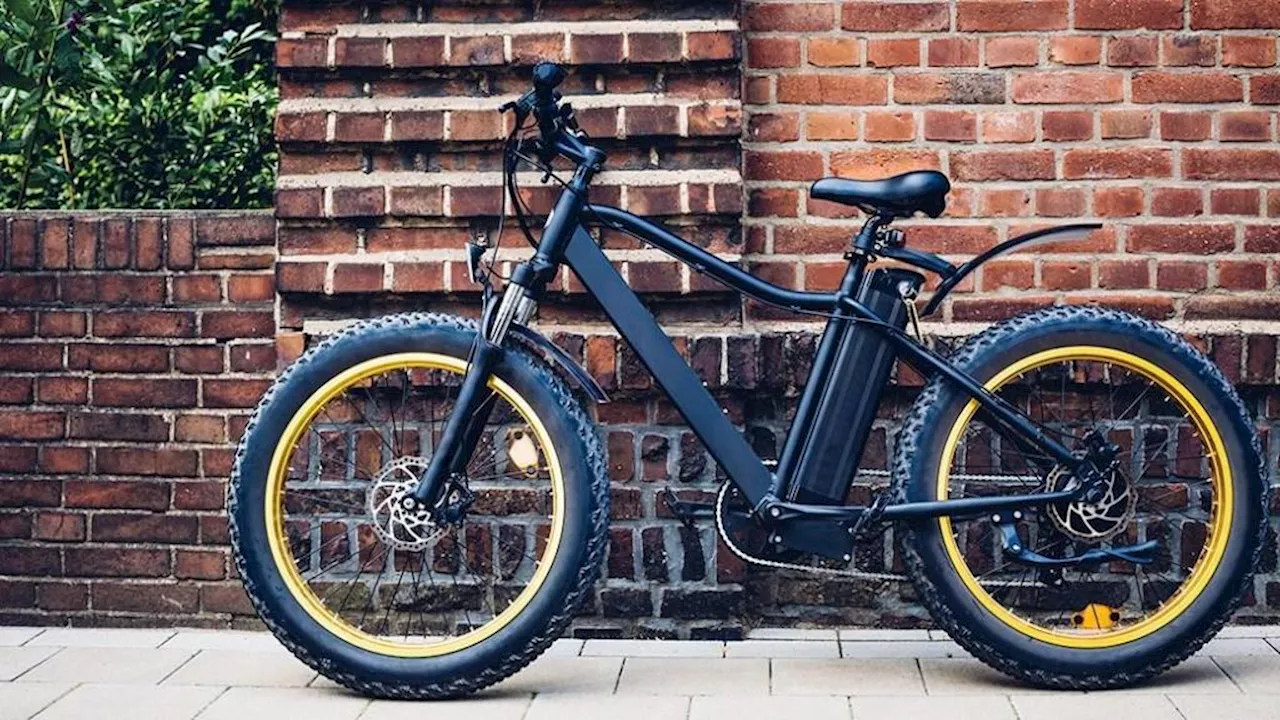 The Rise of Electric Bikes: A Sustainable and Convenient Commute