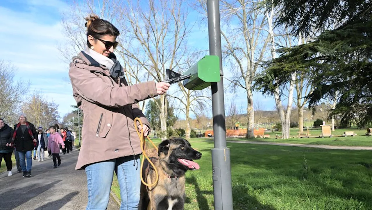 Auch : La lutte contre les déjections canines, un défi en cours