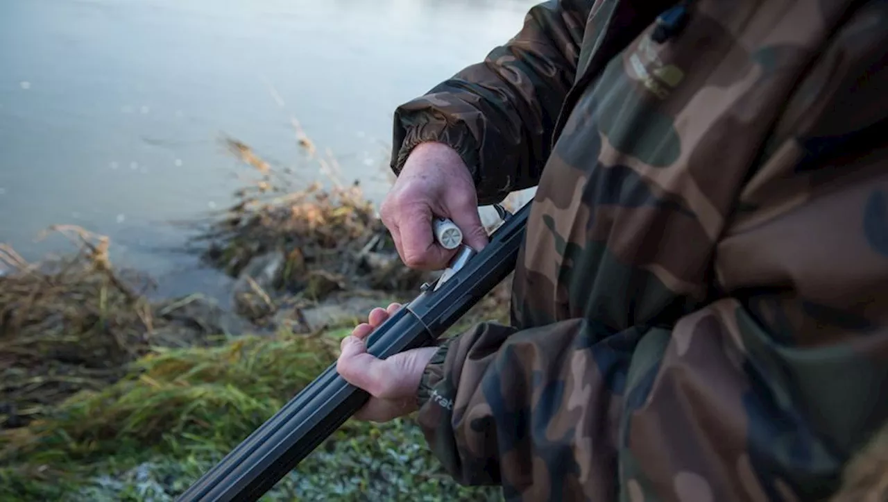 Un Toulousain condamné pour détention d'armes