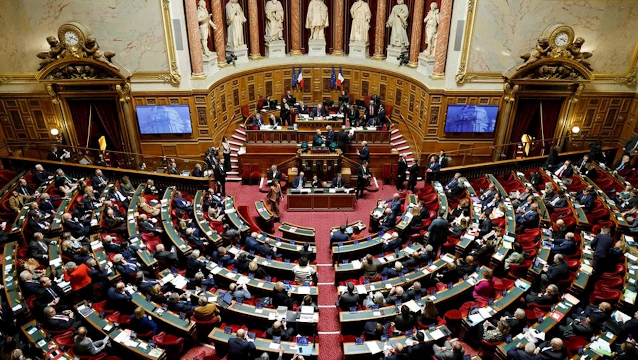 Le Sénat se penche sur deux textes controversés pour apaiser la colère du secteur agricole