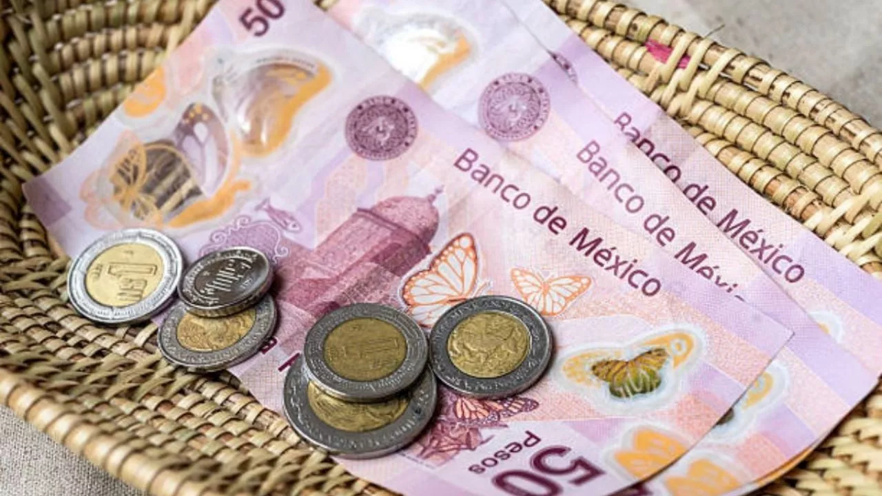 Profeco alerta a usuarios por pago con estos billetes y monedas