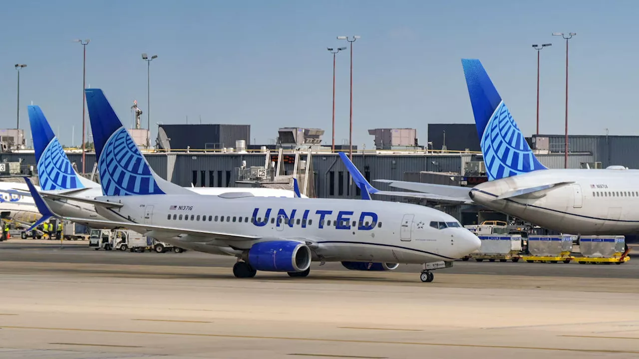 United Airlines Plane Makes Emergency Landing After Mid-Air Plummet