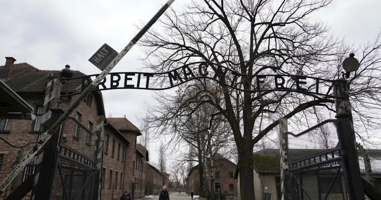 Auschwitz: Le testimonianze di Pilecki e la lente risposta degli Alleati