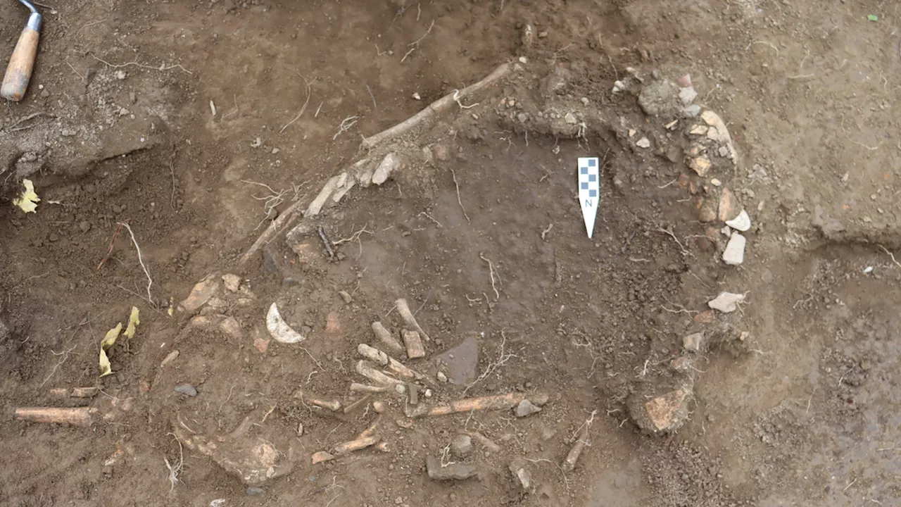 Ancient Pregnant Woman's Gruesome Grave in Ecuador Raises Questions About Sacrifice and Power