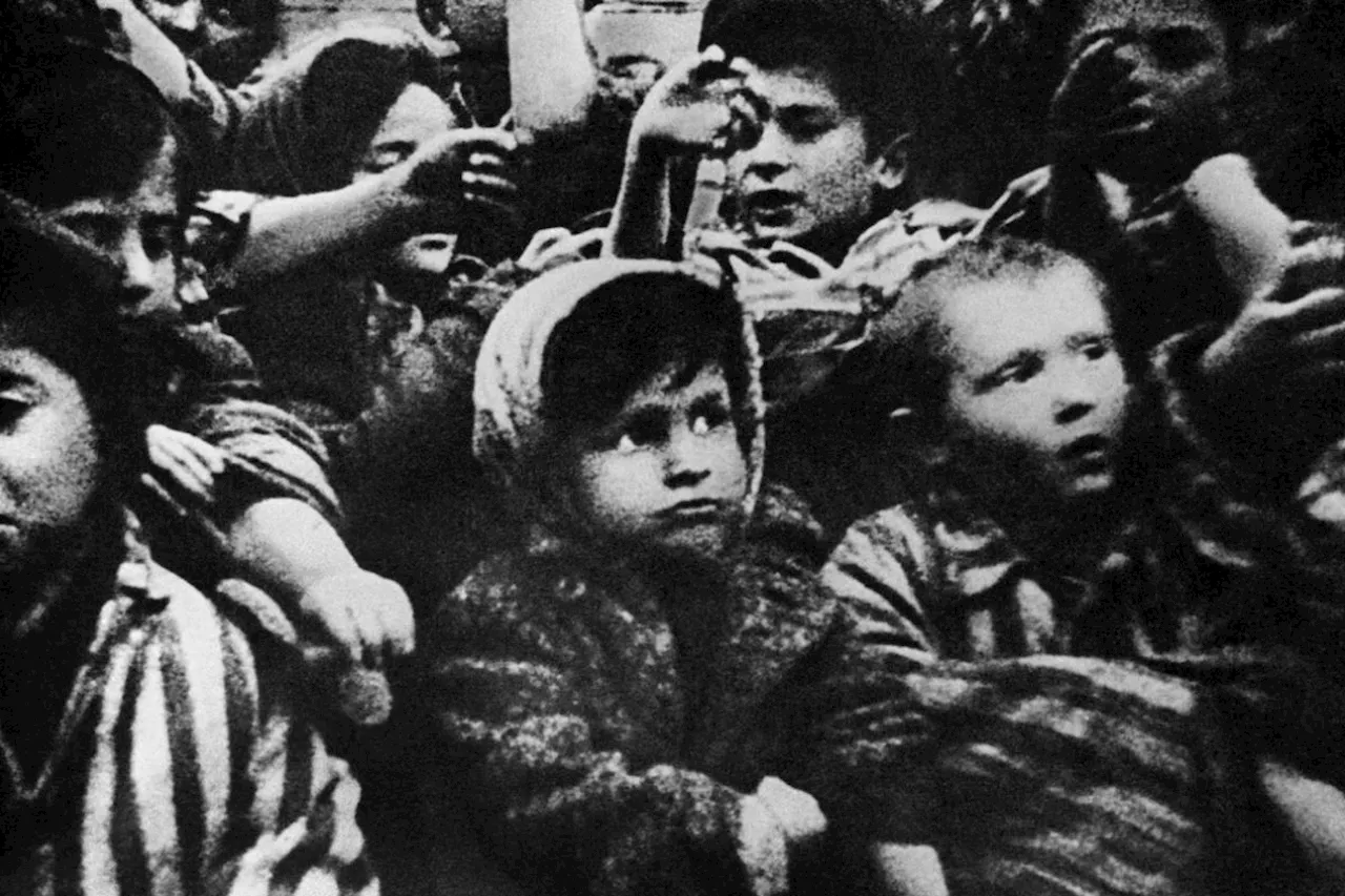 Libération d'Auschwitz : silence dans les journaux de l'époque