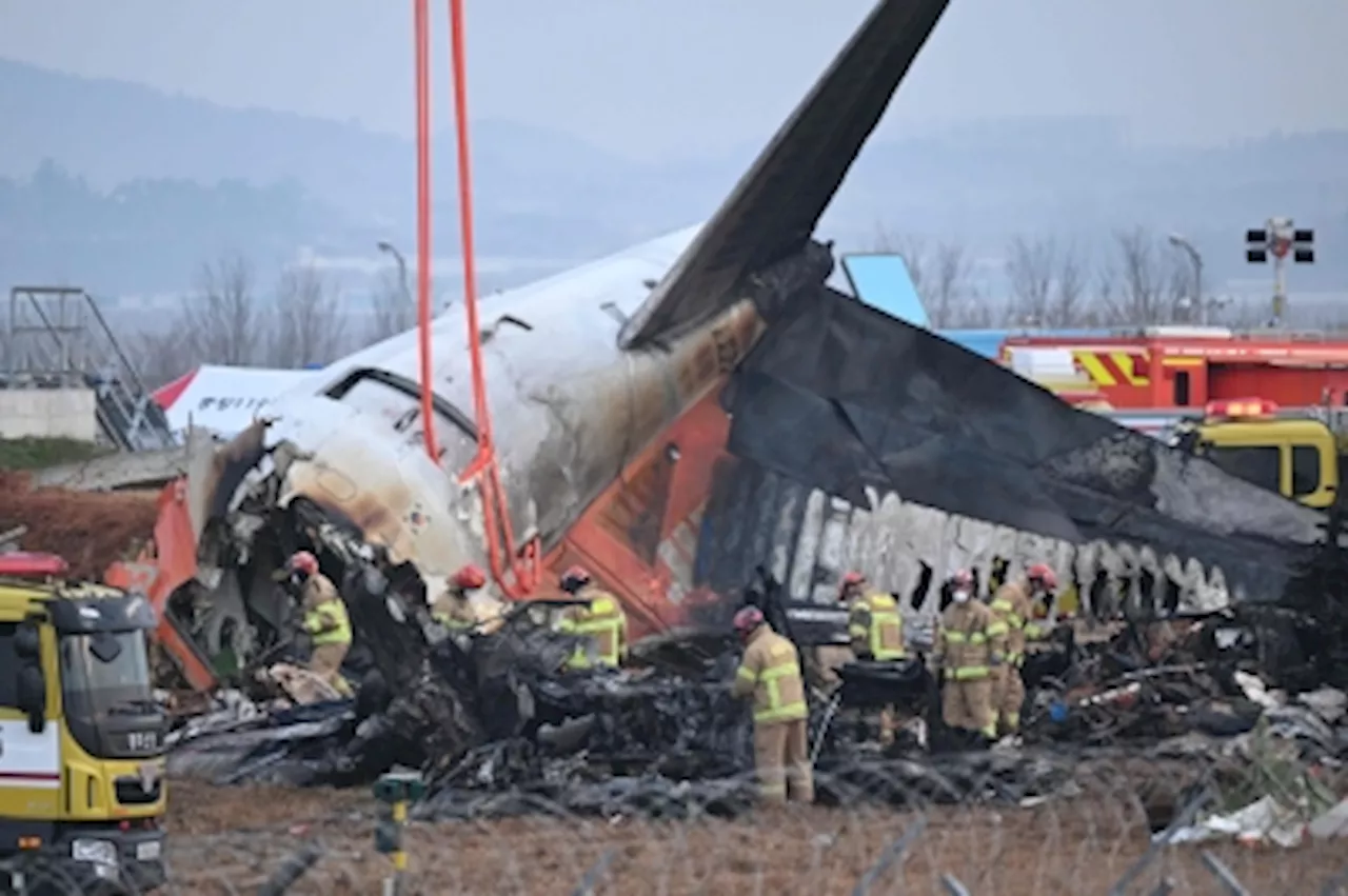 Bird Strike and Equipment Failure Suspected in Jeju Air Crash