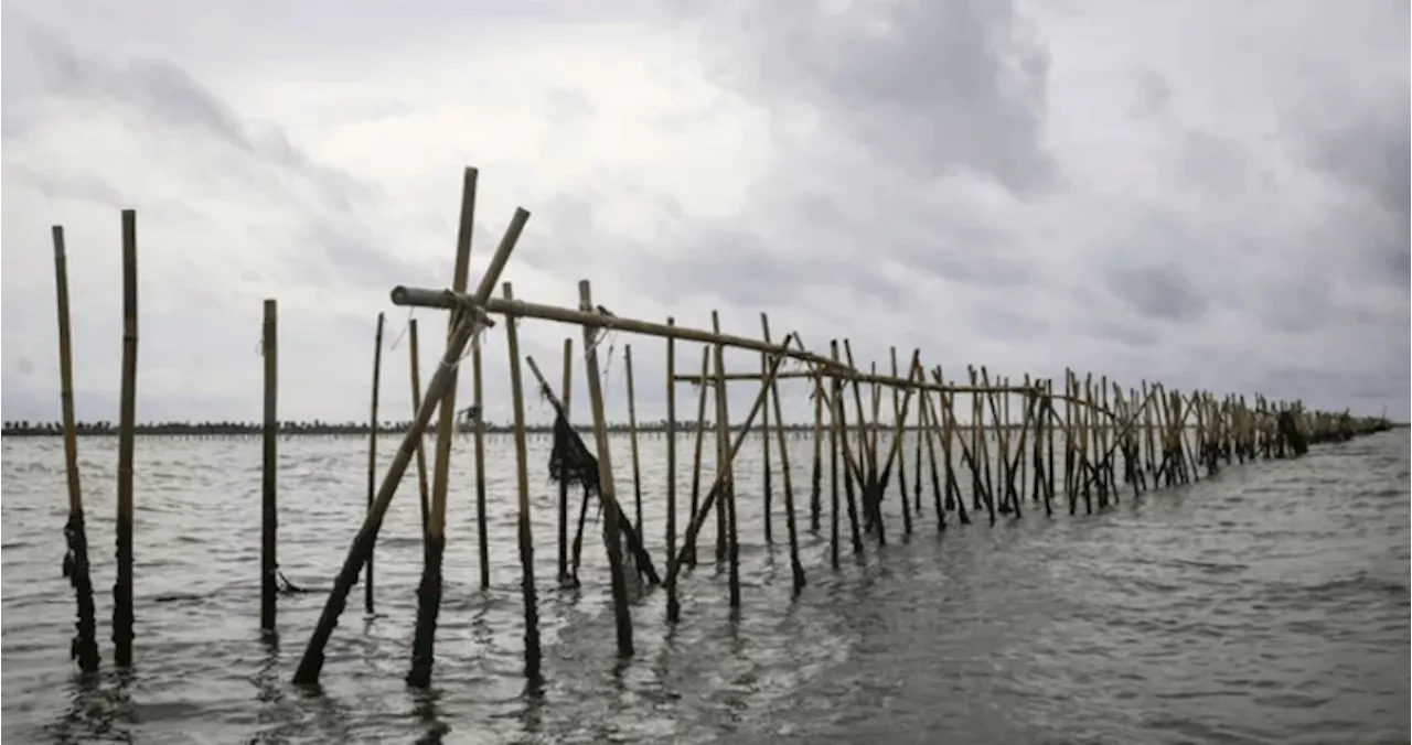 15 Km Pagar Laut di Perairan Tangerang Sudah Dibongkar