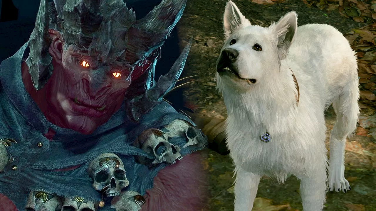 Baldur’s Gate 3: Der beste Hund der Welt kann sogar mit Dämonen verhandeln