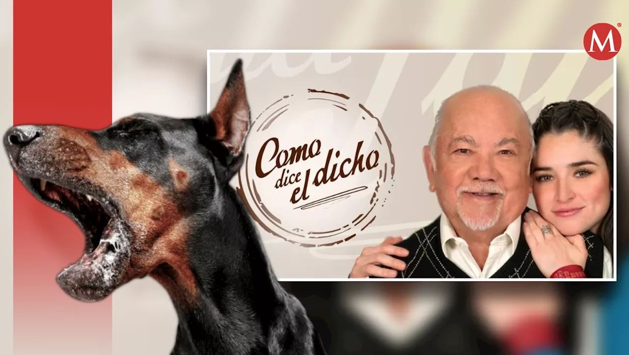 Actor de 'Como dice el dicho', Carlos Girón Longoria, Comparte Su Experiencia Tras Ser Mordido por un Perro